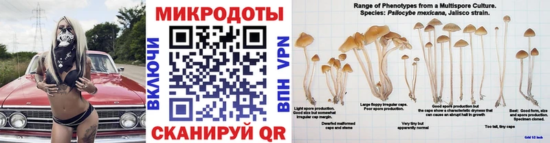 где купить наркоту  Когалым  Галлюциногенные грибы мухоморы 