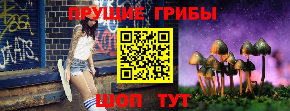 Псилоцибиновые грибы Psilocybine cubensis  Псилоцибиновые грибы GOLDEN TEACHER  Когалым  Вход с VPN 